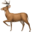 DeerFlow